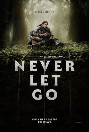 Never Let Go (2024) BluRay Dual Audio {Hindi-English}