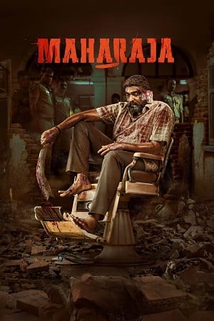 MahaRaja (2024) NF WEB-DL [Hindi (ORG.) DD5.1 + Multi Audio]