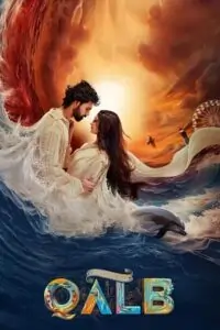 Qalb (2024) Dual Audio [Hindi ORG – Malayalam] Full Movie WEB-DL