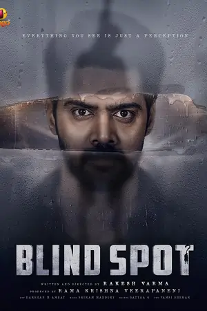 Blind Spot (2025) Hindi-DD5.1 (Multi-Audio) WeB-DL 480p | 720p | 1080p