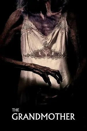 The Grandmother (2019) Dual Audio {Hindi-English} BluRay 480p | 720p | 1080p