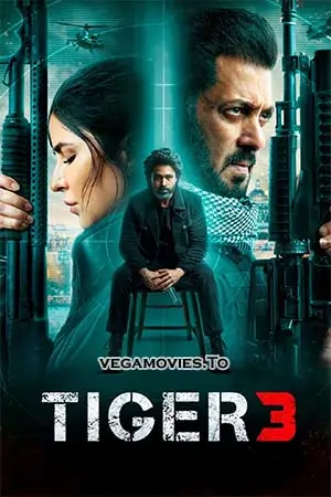 Tiger 3 (2023) Hindi AMZN WEB-DL 480p | 720p | 1080p | 4K