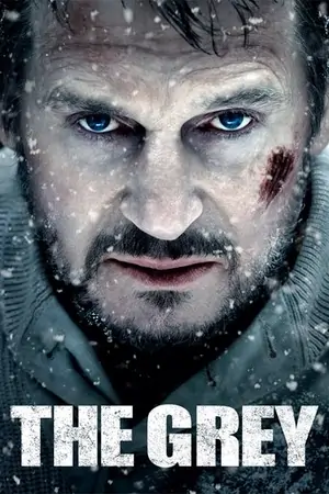 The Grey (2011) BluRay Dual Audio [Hindi ORG. + English] Movie 480p | 720p | 1080p