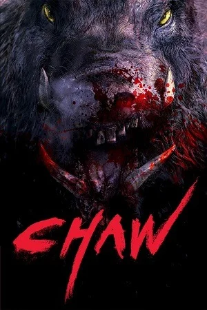 Chawz (2009) Uncut-BluRay Dual Audio {Hindi-Korean}