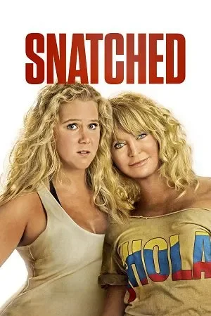 Snatched (2017) Dual Audio {Hindi-English} BluRay
