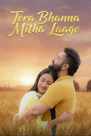 Tera Bhanna Mitha Laage (2025) WEB-DL Punjabi Full Movie 480p | 720p