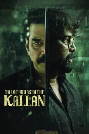 Valathu Vashathe Kallan (2026) Dual Audio [Hindi ORG + Malayalam] WeB-DL 480p | 720p |  1080p