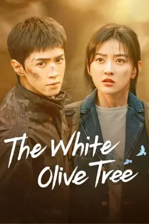 The White Olive Tree (2025) Season 1 [Hindi ORG. Dubbed] C-Drama WEB Series 720p | 1080p