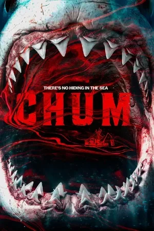 Chum (2026) BluRay Dual Audio {Hindi-English} 480p | 720p | 1080p