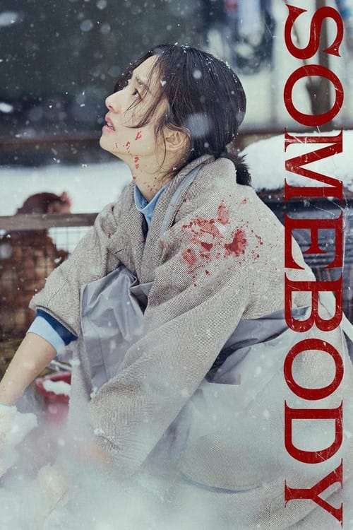Somebody (2025) Dual Audio {Hindi-Korean} Amazon WEB-DL 480p | 720p | 1080p