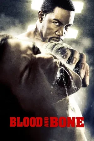 Blood and Bone (2009) BluRay Dual Audio [Hindi ORG. + English] Full Movie 480p | 720p | 1080p